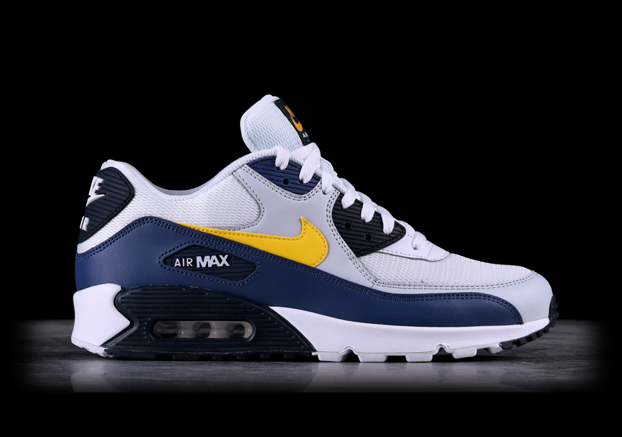 nike air max 90 essential azul