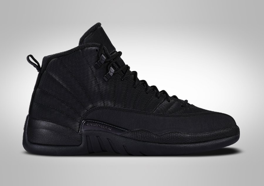 Air jordan retro hot sale 12 winterized black