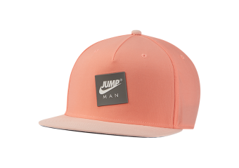 Jordan pro 2025 23 engineered hat