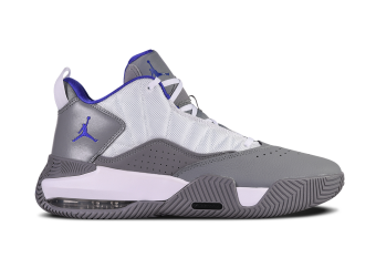 Jordans grey top and purple